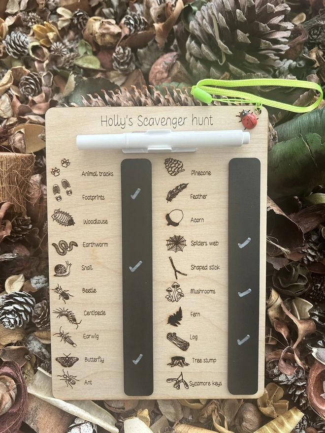 A personalised wooden scavenger hunt board titled “Holly’s Scavenger Hunt” sits among dried leaves and pinecones. Engraved illustrations and labels highlight a range of natural treasures and minibeasts to find, including pinecone, feather, acorn, spider’s web, shaped stick, mushrooms, fern, log, tree stump, sycamore keys, animal tracks, footprints, woodlouse, earthworm, snail, beetle, centipede, earwig, butterfly, and ant. Two black wipe‑clean sections are built into the board, and a white marker is attached with a bright green cord finished with a tiny ladybird bead