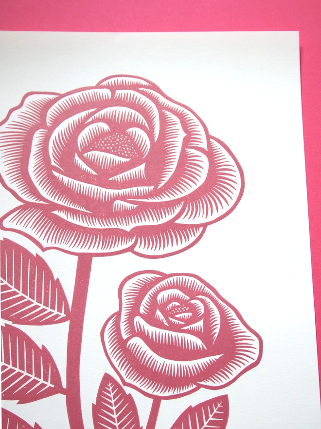 Pink rose linocut art print 