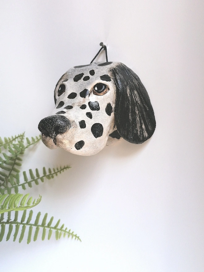 Dalmatian Dog Head With Black Spots and Brown Eyes