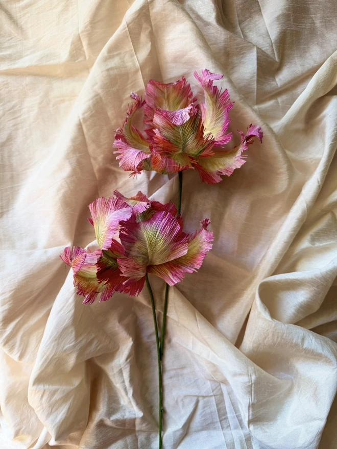 Colourful Paper Forever Flowers