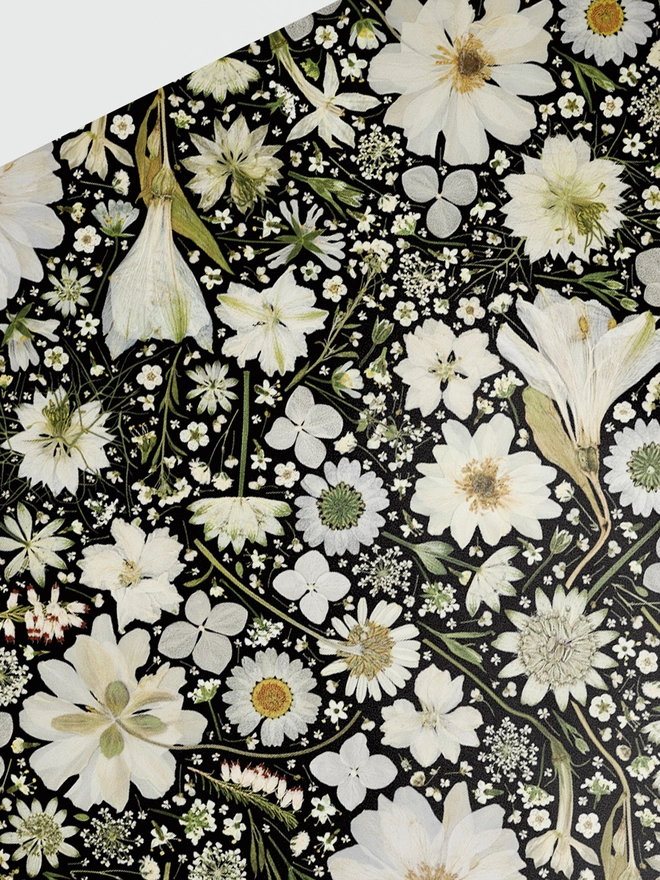 Luxury wrapping paper created from pressed white flowers, including Nigella, Daisy, Astrantia, Queen Anne's Lace, Hydrangea, Cow Parsley and Heather.