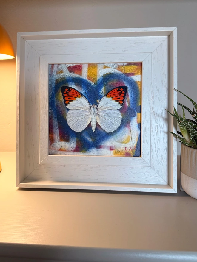  A photo of a square artwork showing a blue spray paint heart on a multi coloured spray paint background. A white orange tip butterfly sits centrally in the heart. The frame is a white frame sits on display on a shelf.
