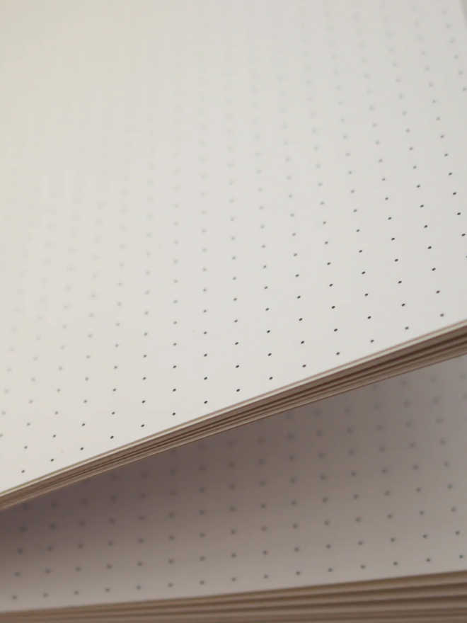 leather bullet journal. a closeup of dotted journal paper.