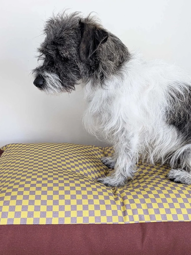  Printed Cotton Patterned Dog Bed, a dog sitting on a patterned dog bed on a tiled floor in front of a white wall. 