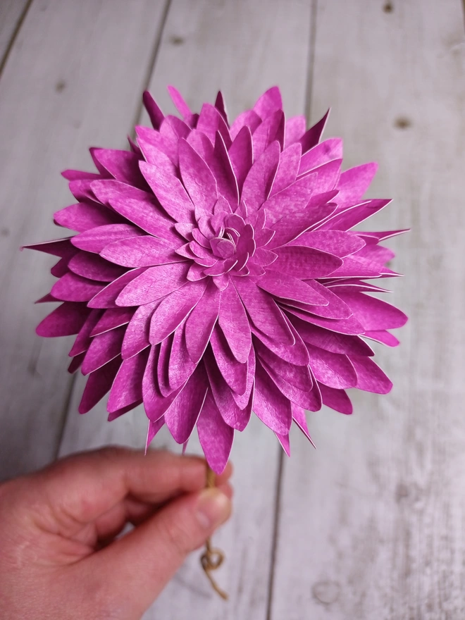 pink dahlia paper flower