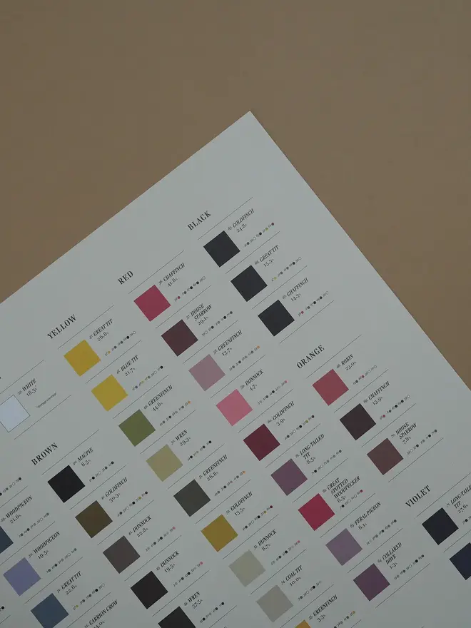 Bird Colours Lithograph Print, an image of the possible colours of a garden bird. 