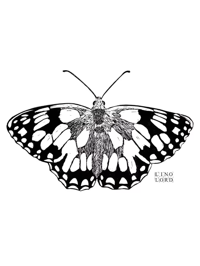A butterfly design taken from an original Lino Print