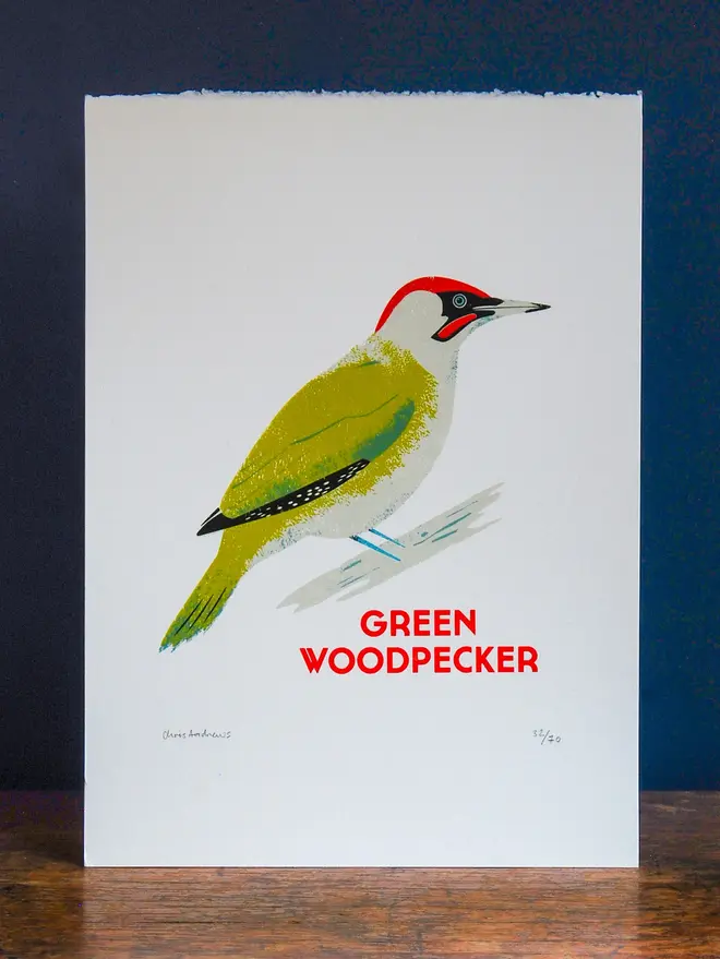 illustrated green woodpecker print. green woodpecker print propped up against navy blue background.
