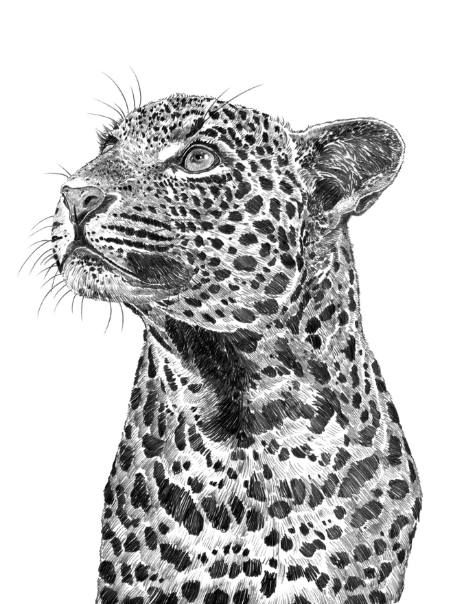 Detail of hand drawn leopard art print