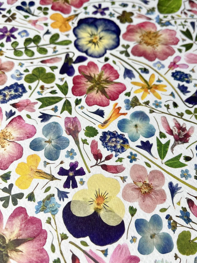 Close up of Pressed floral digital print on a light background. 