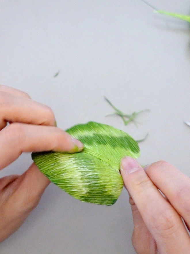 Crepe Paper Cyclamen