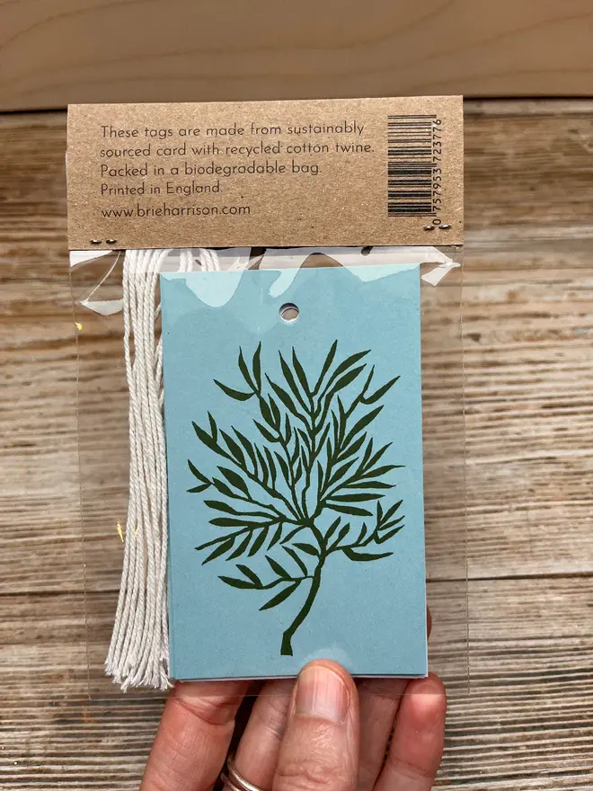 illustrated shells gift tags