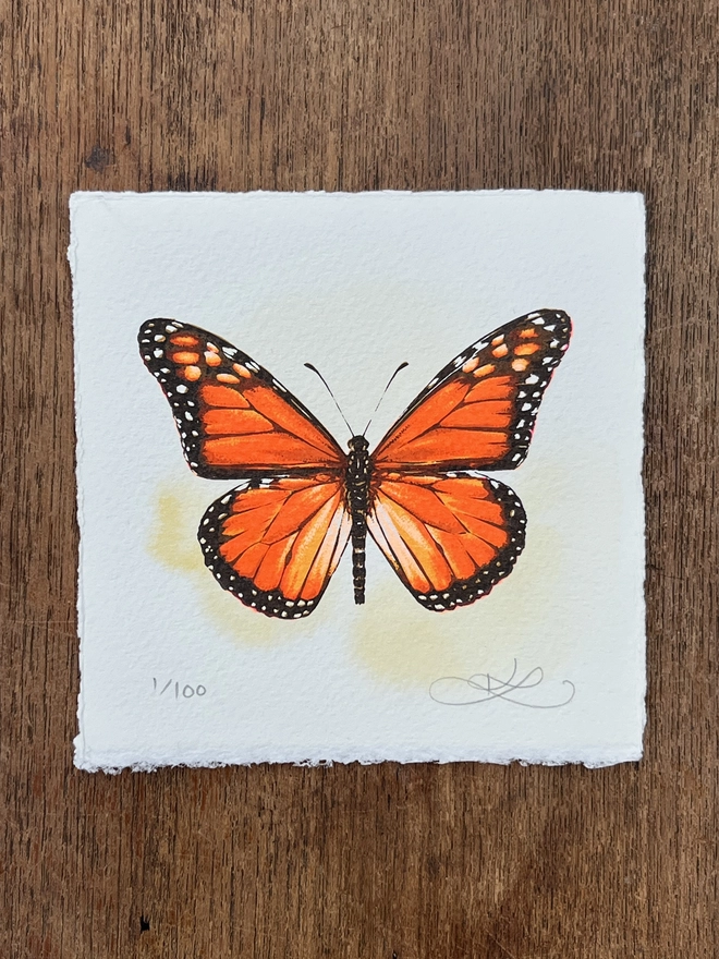 Monarch Butterfly Screenprint