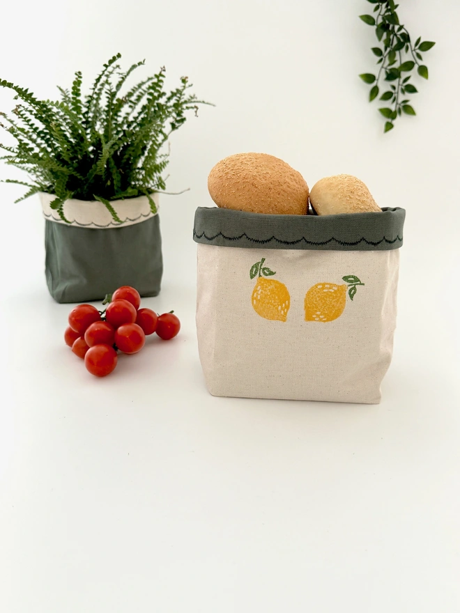 Plant pot