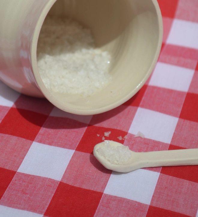 Alice Makes Pottery farfalle pasta salt pig with ceramic spoon smaller detail
