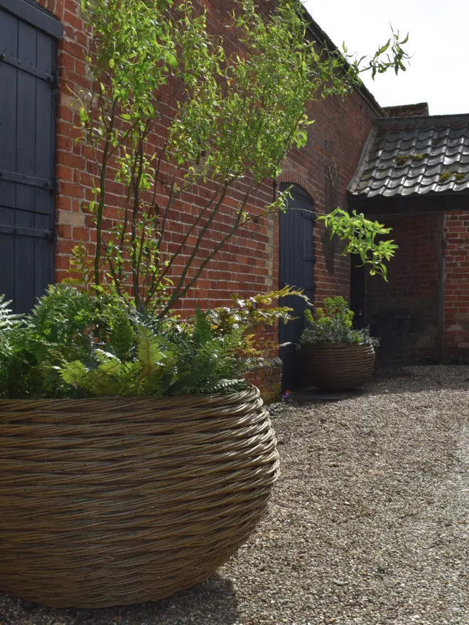 Willow Woven Basket
