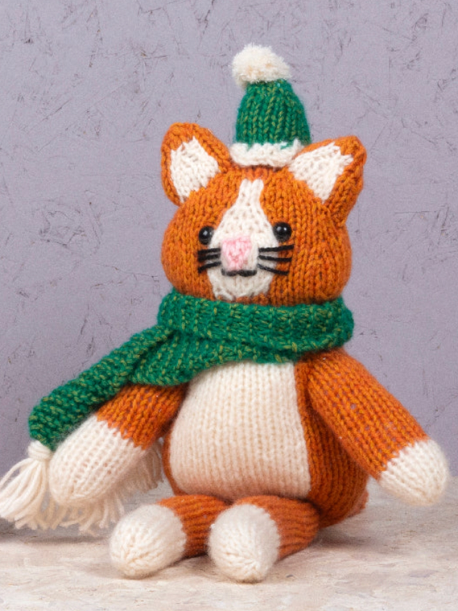 Cat in Knitwear Knitting Kit. An orange cat with green knitwear.