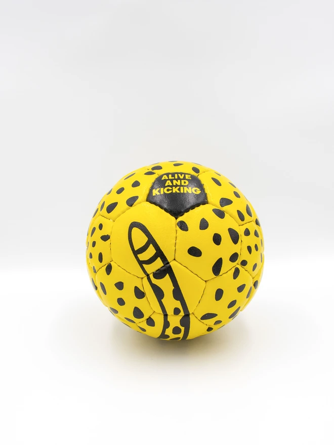 Cheetah Football