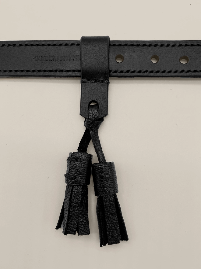 black leather tassels on a dog collar