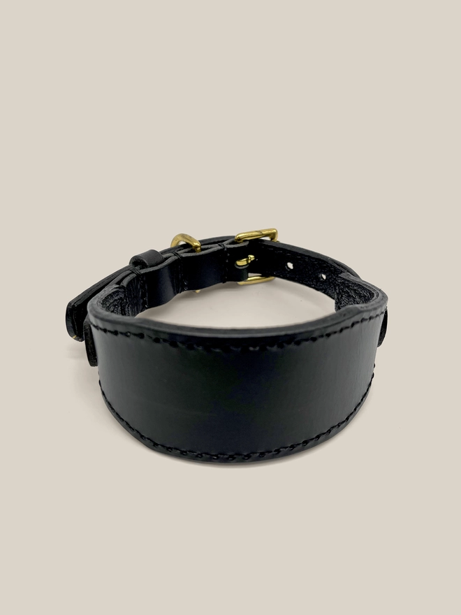 front view of black leather sighthound collar