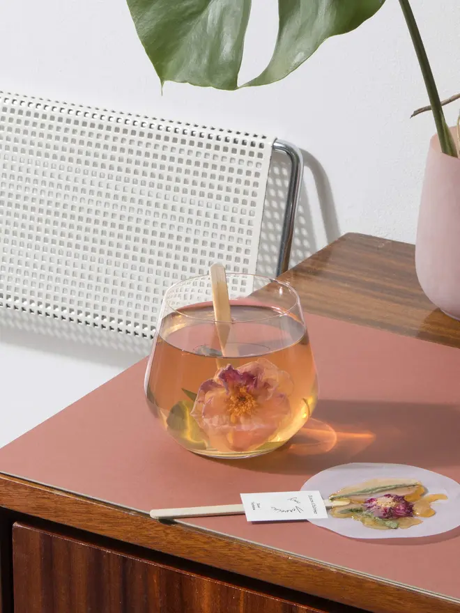 Fleurs-d-hiver-Rose-verbena-petals