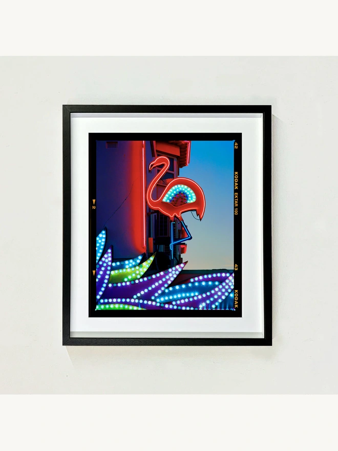 Neon Flamingo Richard Heeps colour print framed in black