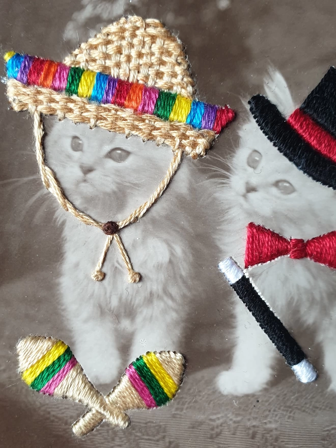 Close up of 2 cats in embroidered sombrero, maracas, top hat and wand