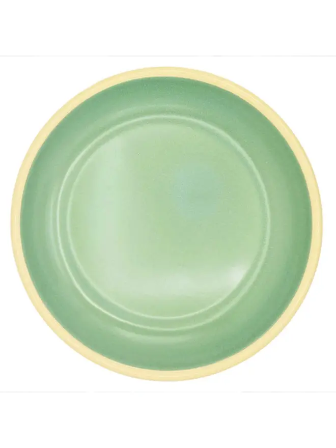 , an enamel plate sitting on a white plain surface.