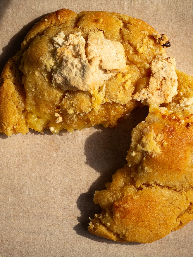 Lemon Cookie in the glow of evening sunlight