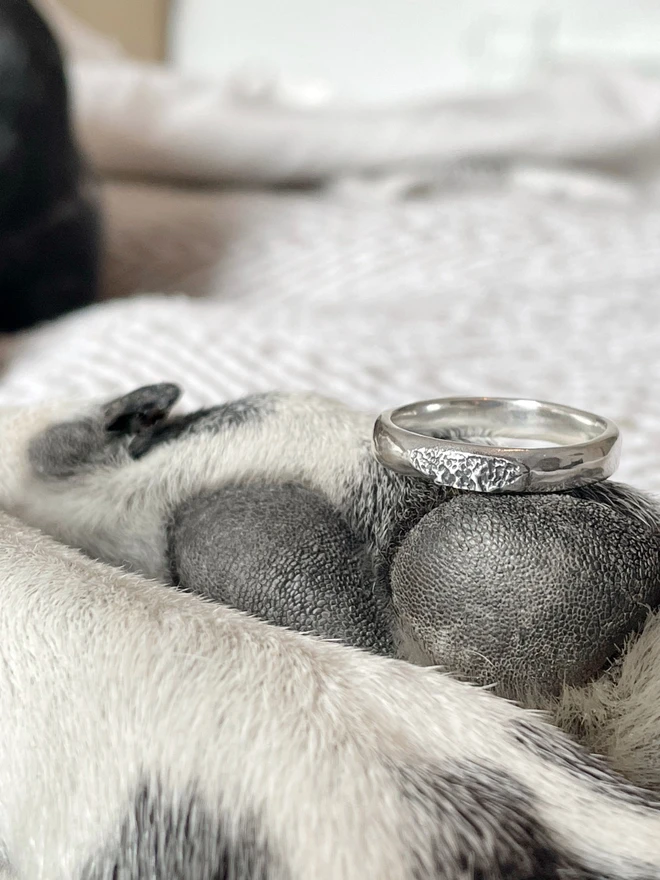 Make a recycled sterling silver or gold ring of your dog's individual nose or paw print, using our at home paw print ring kits. Perfect gift to remember your fur baby. Made by Celina C Jewellery, a small business in the UK, find on Holly and Co.
