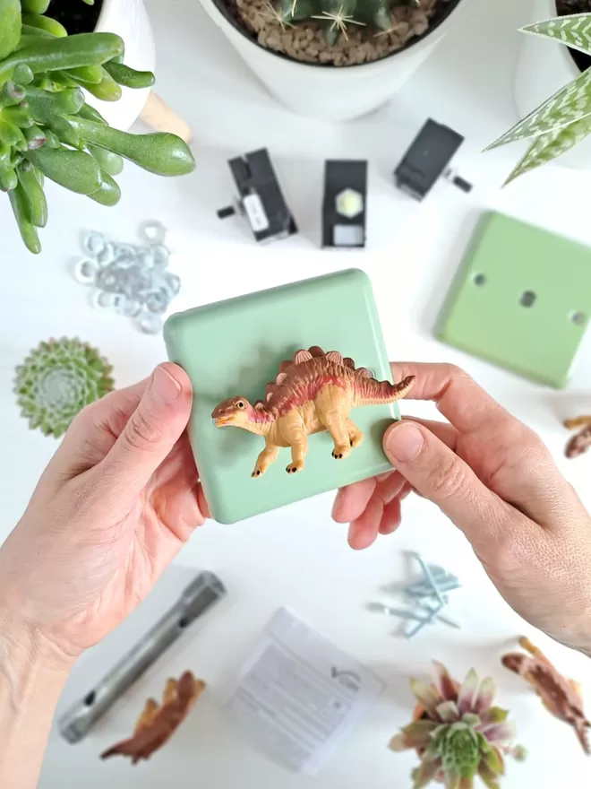 A pair of hands hold a beryl green light switch with a stegosaurus dinosaur in the centre, the dinosaur acts as the dimmer switch knob. The light switch plate is epoxy coated steel, the dinosaur is made of plastic and is brown. The dimmer switch brand is Candy Queen Designs. In front of the light switch on a white tabletop there is a box spanner, a selection of nuts, light switch modules, screws, more stegosaurus dinosaurs and an instruction leaflet. There are three succulent plants in white plant pots and two smaller ones in terracotta pots.