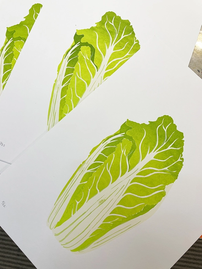 Chinese Cabbage Screenprint