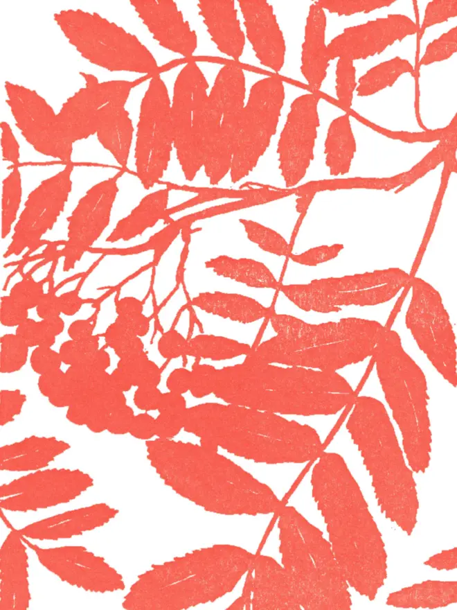 Close up of design on front of card. Orange-red flat shaded monochrome artwork of rowan tree clipping with visible leaves and berries