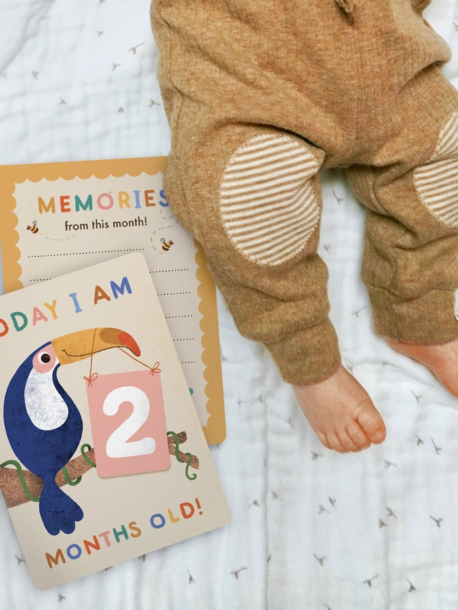 illustrated animal themed baby milestone cards by Emily Nash Illustration- postcard keepsake multipack for babies