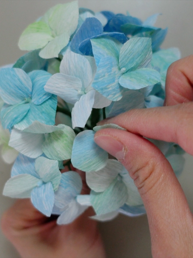 Crepe Paper Hydrangea DIY Kit