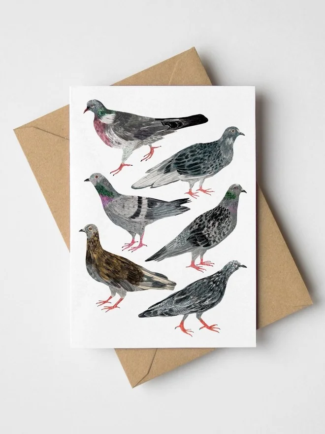Pigeons Greeting Card