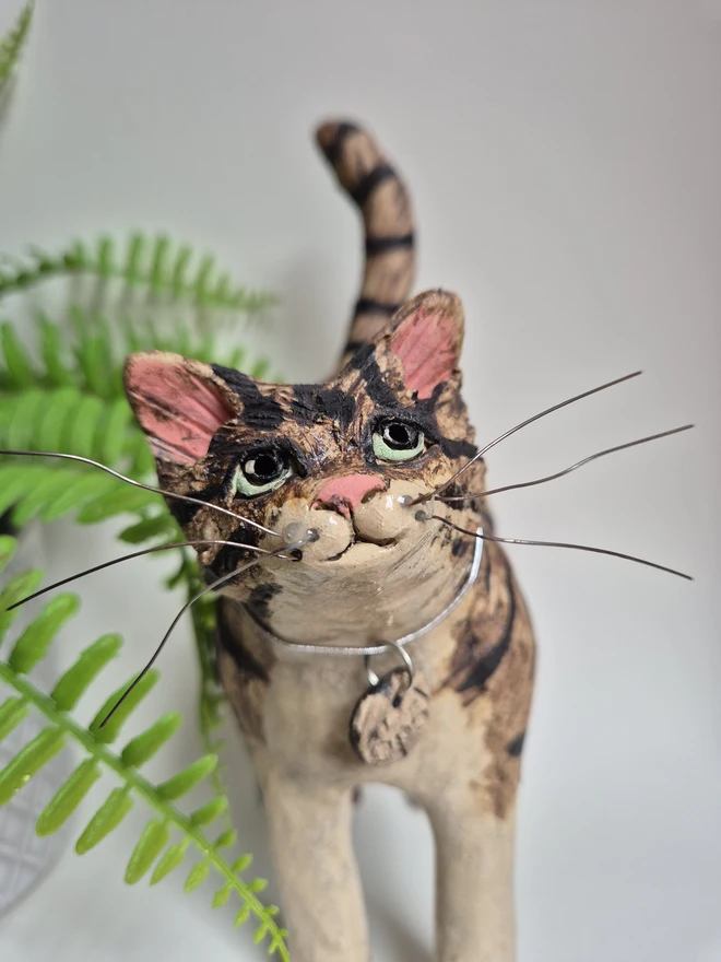 Popsy Brown and cream tabby cat 