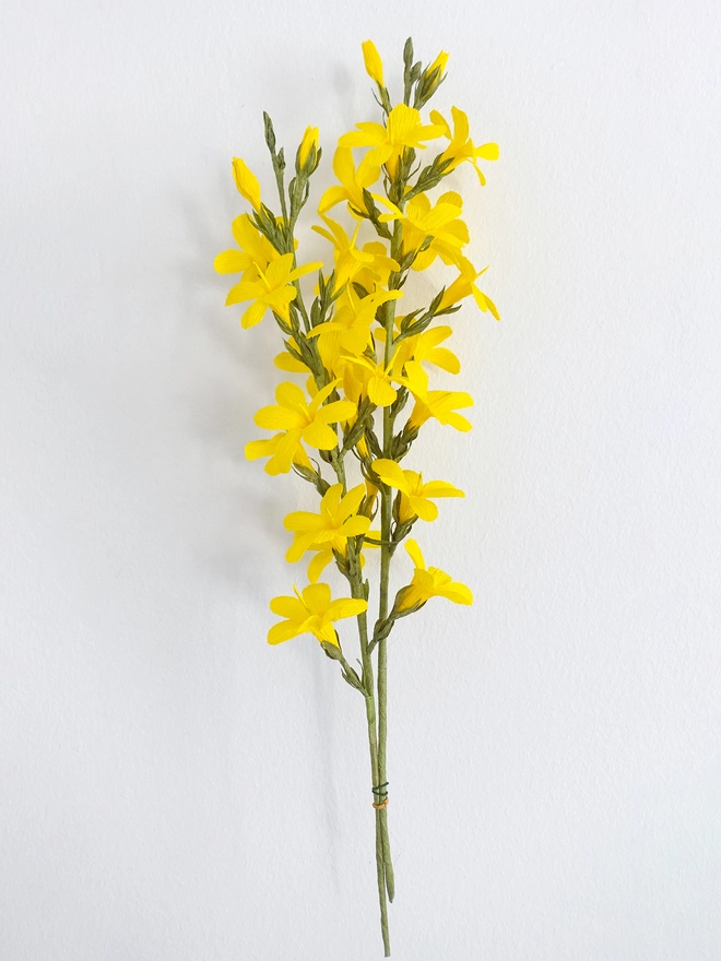 Crepe Paper Winter Jasmine DIY Kit
