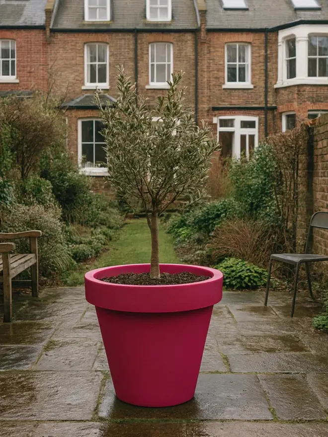 The pink Tubby features a soft yet distinctive colour paired with a generous, grounded shape ideal for statement planting. It works beautifully in boutique spaces, balconies or floral garden schemes where personality matters. Durable, lightweight and frost-resistant, it’s practical for both indoor styling and outdoor use.