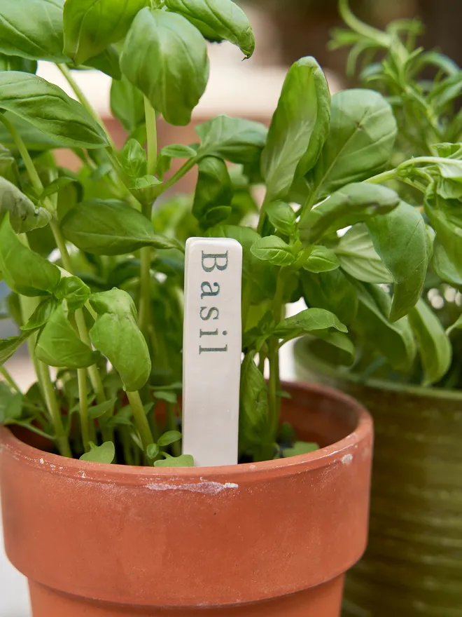 Ceramic plant herb marker