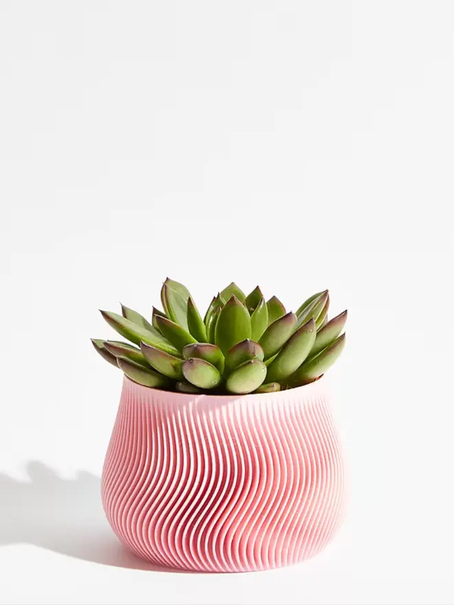 Sustainable 3D Printed Sakura Pink Plant Pot, groovy design against a white background. 