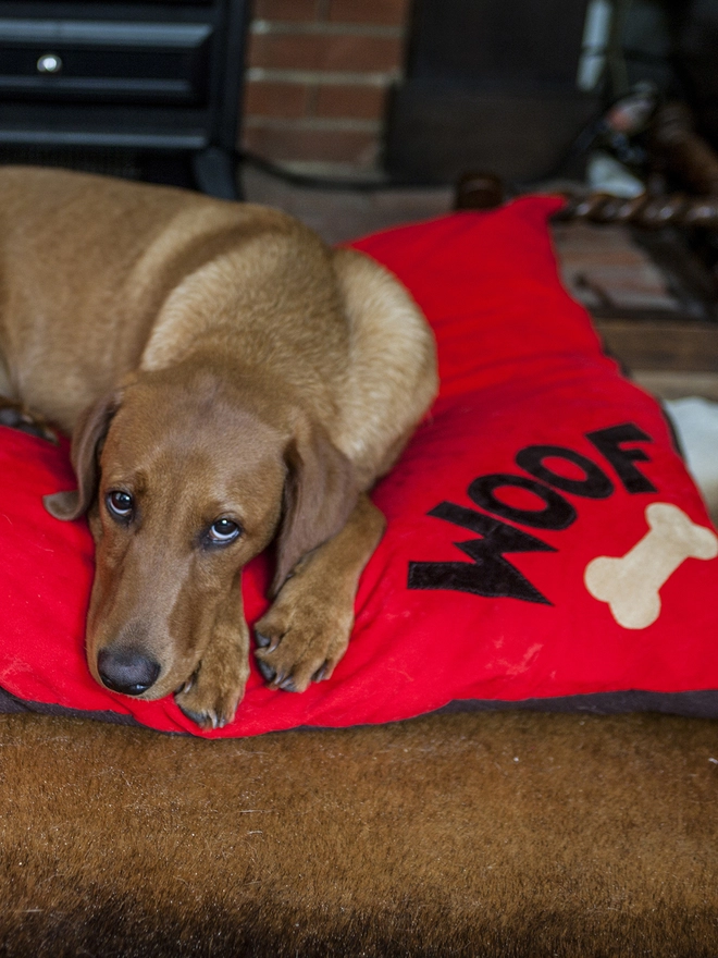 Dog Bed in Red Faux Suede with the fox red labrador