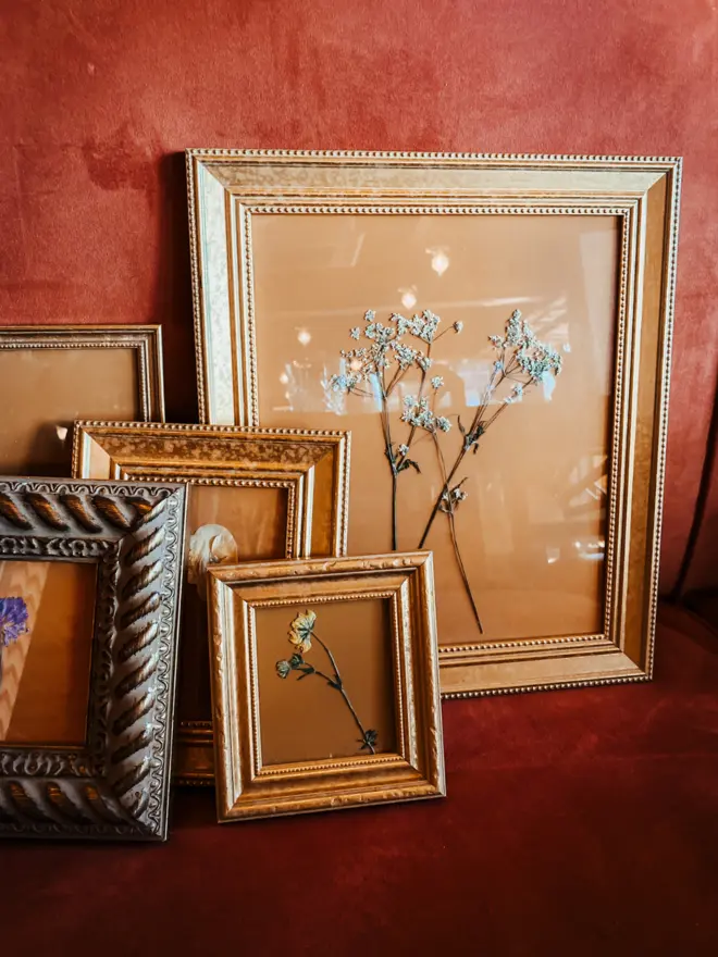 One Of A Kind Buttercup Botanical Artwork
