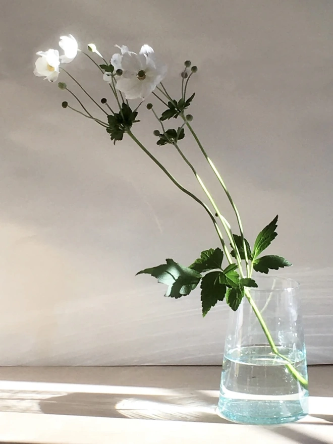 Glass Vase, a large glass vase sitting on a white surface. It is filled by a flower. 