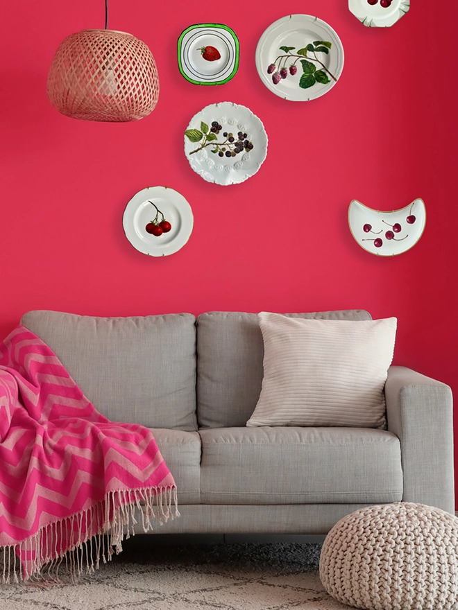 plate scape