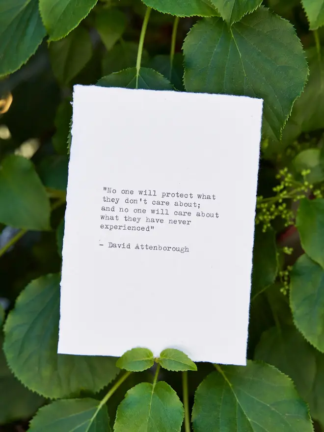 David Attenborough Quote Typewriter A6 Print against a green leafy background