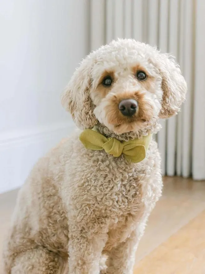 Handmade Linen Dog Necktie