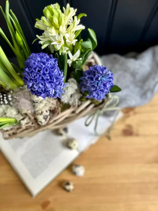 Rattan trug basket filled with narcissus and hyacinths sitting on a vinatge book