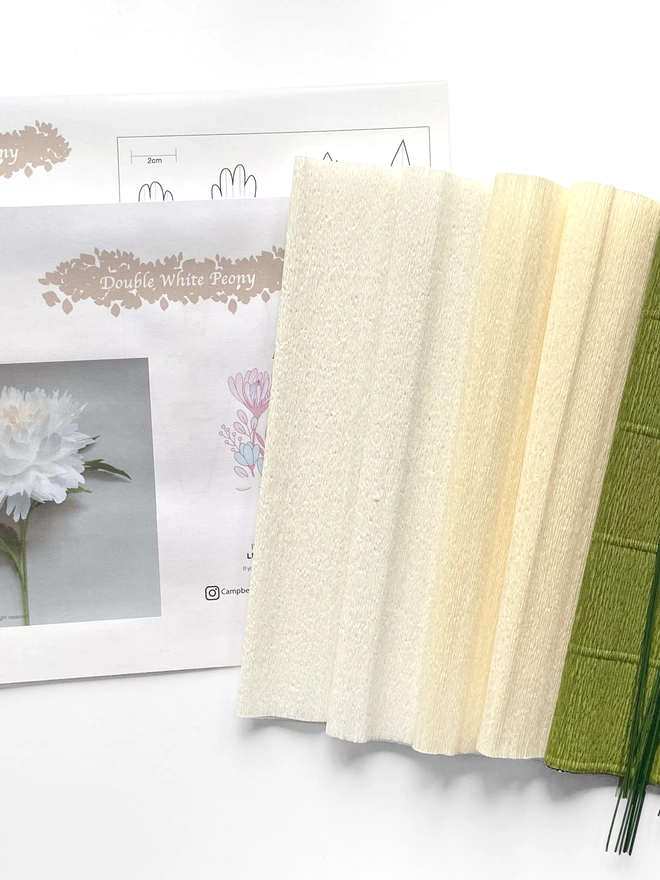 Crepe Paper Double Peony DIY Kit
