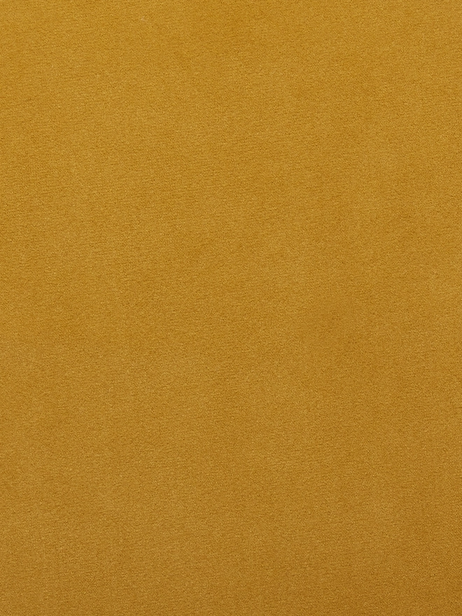 Mustard Velvet 